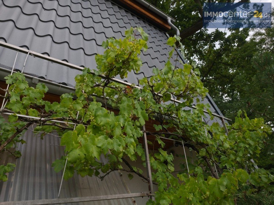 1000040090 Einfamilienhaus Schwedt/O.
